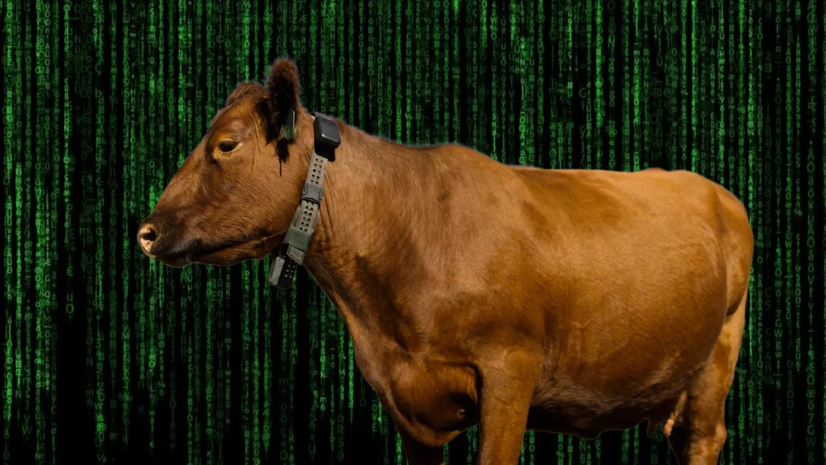 Peter Thiels Founders Fund Leads Investment in Halter as AI Cowgorithm Valued at 2 Billion Dollars