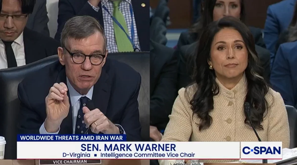 Senator Throws Down With Tulsi Gabbard Over Foreign Threats to U.S. Elections