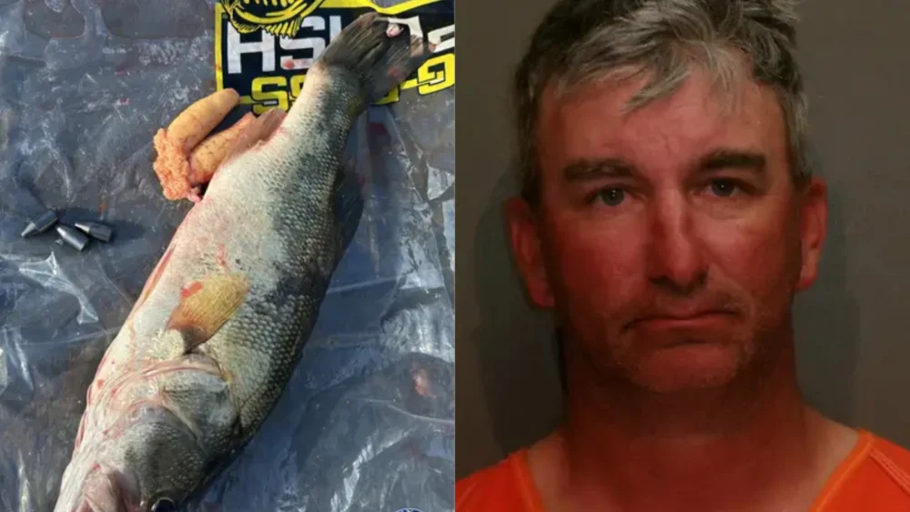 Texas Angler Faces Felony Charges After Lead Weights Discovered in Fish During Lake Fork Lure Company Tournament