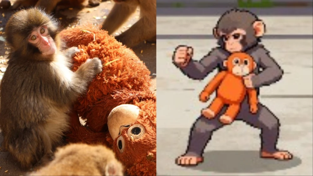 Viral Baby Monkey Punch Inspires Zoo Fighter Video Game Amid Growing Advocacy for Primate Sanctuary Transitions