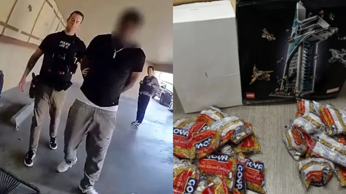 California Man Arrested in Nationwide LEGO Fraud Scheme Involving 70 Target Stores and Thousands of Dollars in Pasta Substitutions