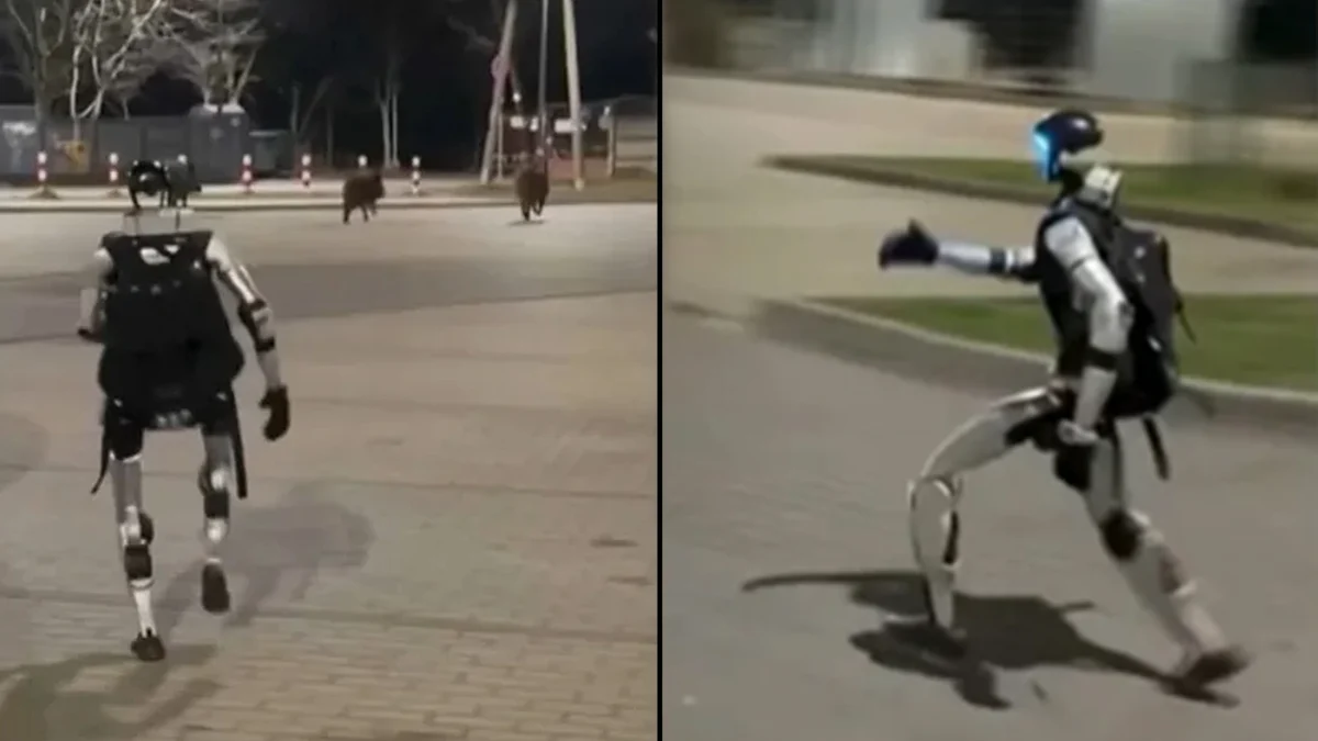 Humanoid Robot Edward Warchocki Becomes Viral Sensation After Chasing Wild Boars in Poland