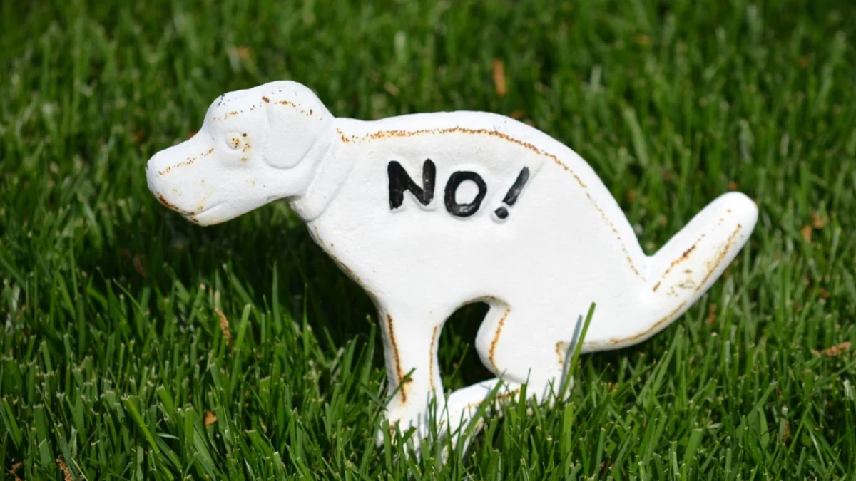Swiss Town of Chiasso Implements Mandatory Fines for Dog Owners Failing to Clean Up Urine During Walks