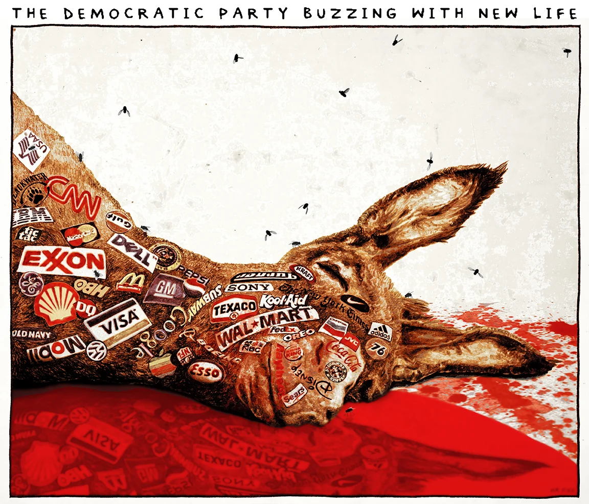 The Deepening Fissure in the Single-Payer Movement: Ana Malinow and the Call for Uncompromising Healthcare Reform