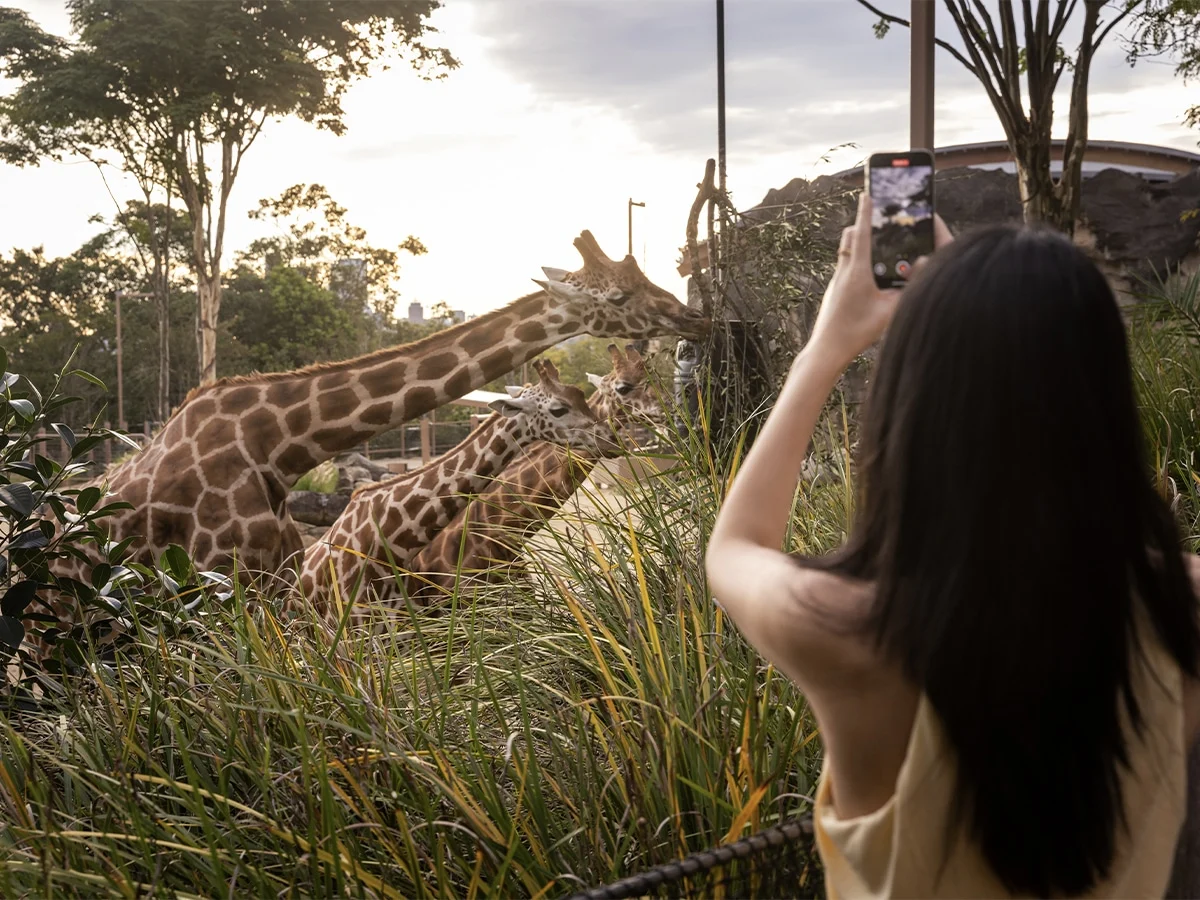 Hatch Taronga Accelerator Program Forges New Path for Ecopreneurs Through Strategic Partnership with LG Electronics Australia