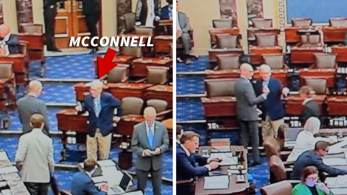 Mitch McConnell Dazed and Confused on Senate Floor