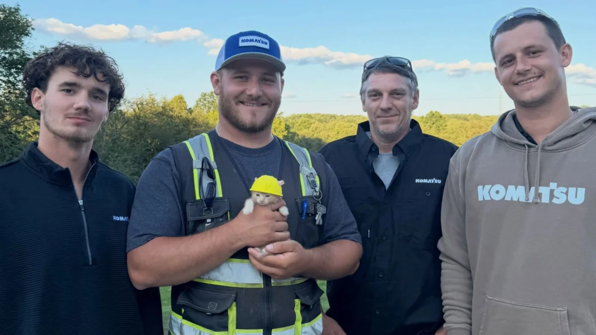 Ohio Construction Crew Rescues Abandoned Kitten from Excavator as Feline Mascot Named Sue Becomes Viral Sensation