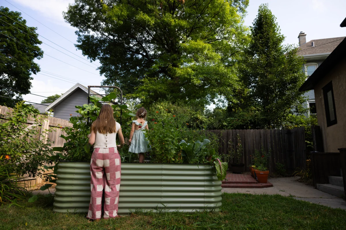 Omaha’s Enduring Lead Legacy: Hundreds of Millions Spent, Yet Half of Superfund Yards Remain Contaminated