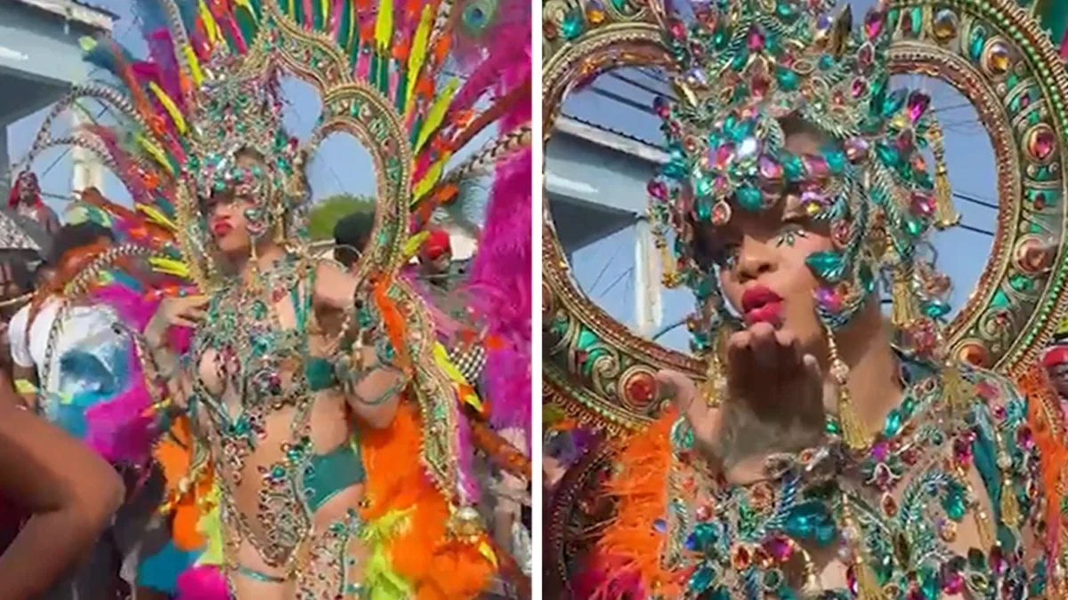 Rihanna Shows Off Curves While Partying Hard at Barbados Carnival