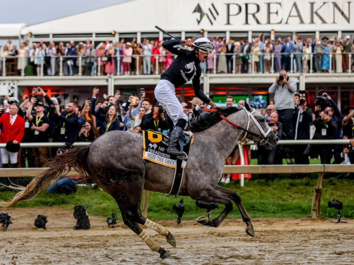 The Evolution of Equine Investment How MyRacehorse Democratized the Sport of Kings Through Fractional Ownership