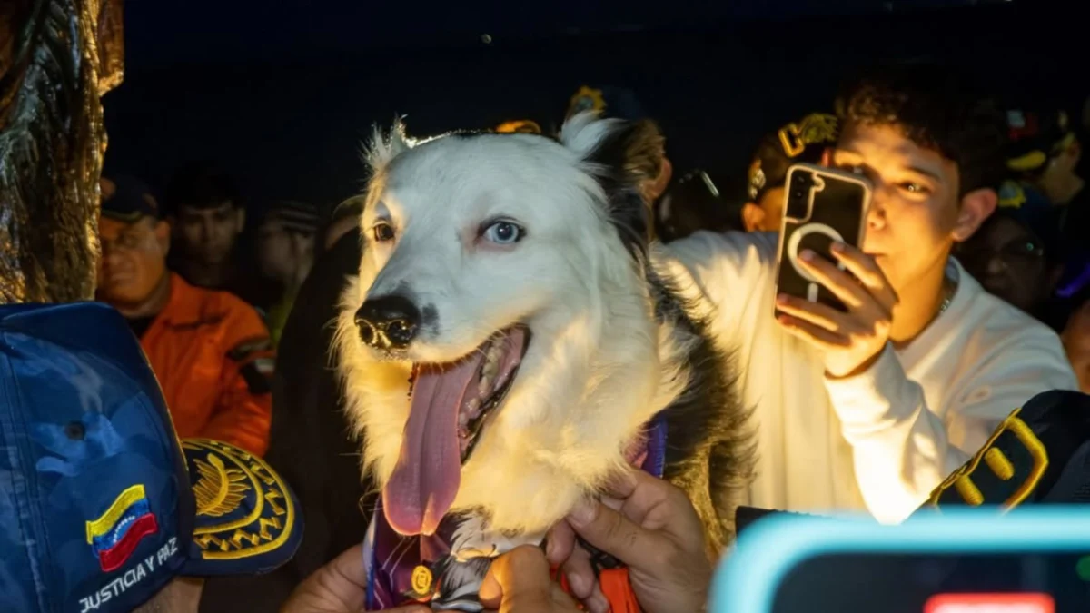 Venezuela Honors Heroic Search and Rescue Dog Tsunami with Bronze Statue and Retirement Ceremony in Maracaibo