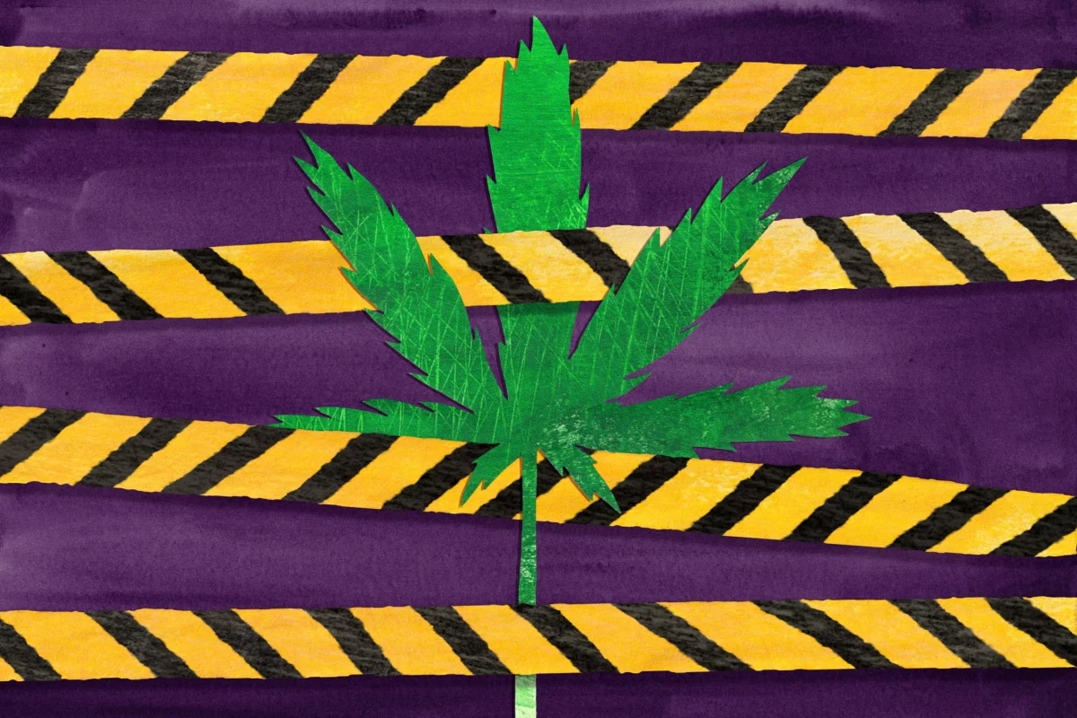 Colorado Marijuana Vape Recall Amidst Methylene Chloride Contamination Exposes Critical Regulatory Lapses and Lingering Public Safety Concerns