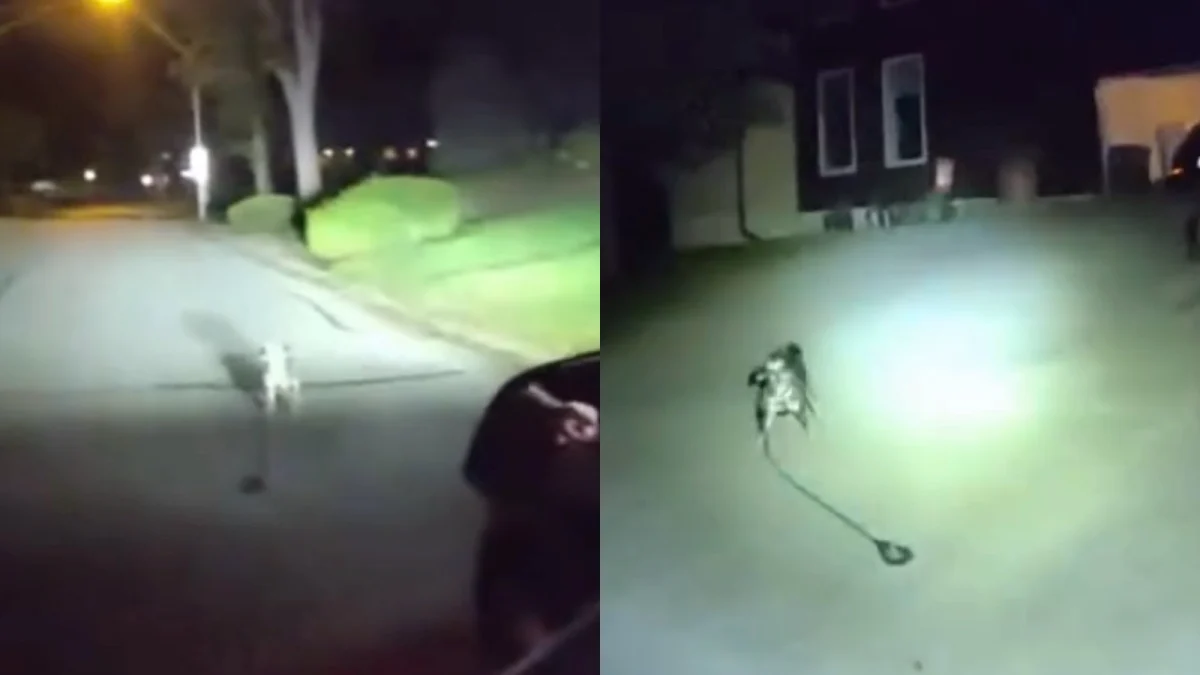 Loyal Dog Leads Leawood Police Officer to Rescue Fallen Owner in Miraculous Neighborhood Encounter