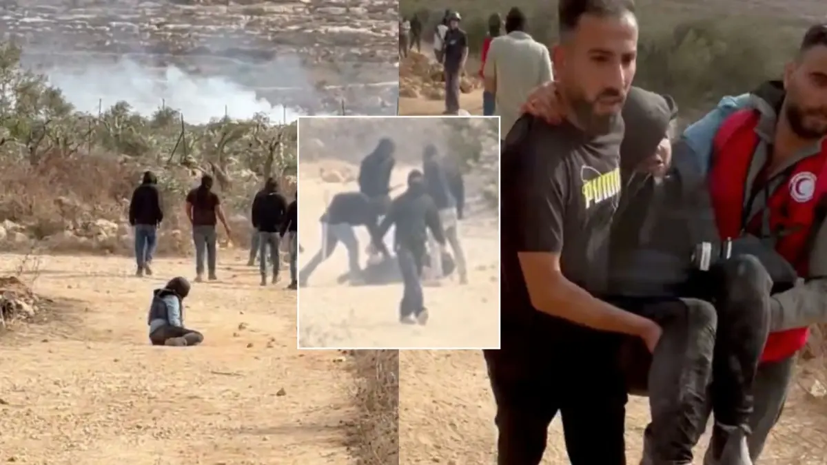 Washington Post Photojournalist and European Diplomats Attacked by Israeli Settlers During West Bank Olive Harvest